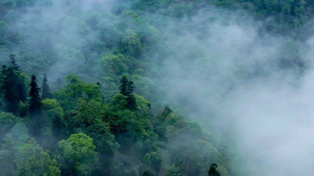 梦幻手游官网下载：畅游梦幻世界，开启你的冒险之旅